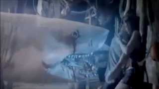 Ghost Shark 2013 Trailer